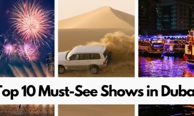 Top 10 Must-See Shows in Dubai