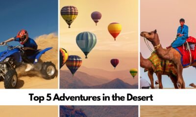 Top 5 Adventures in the Desert