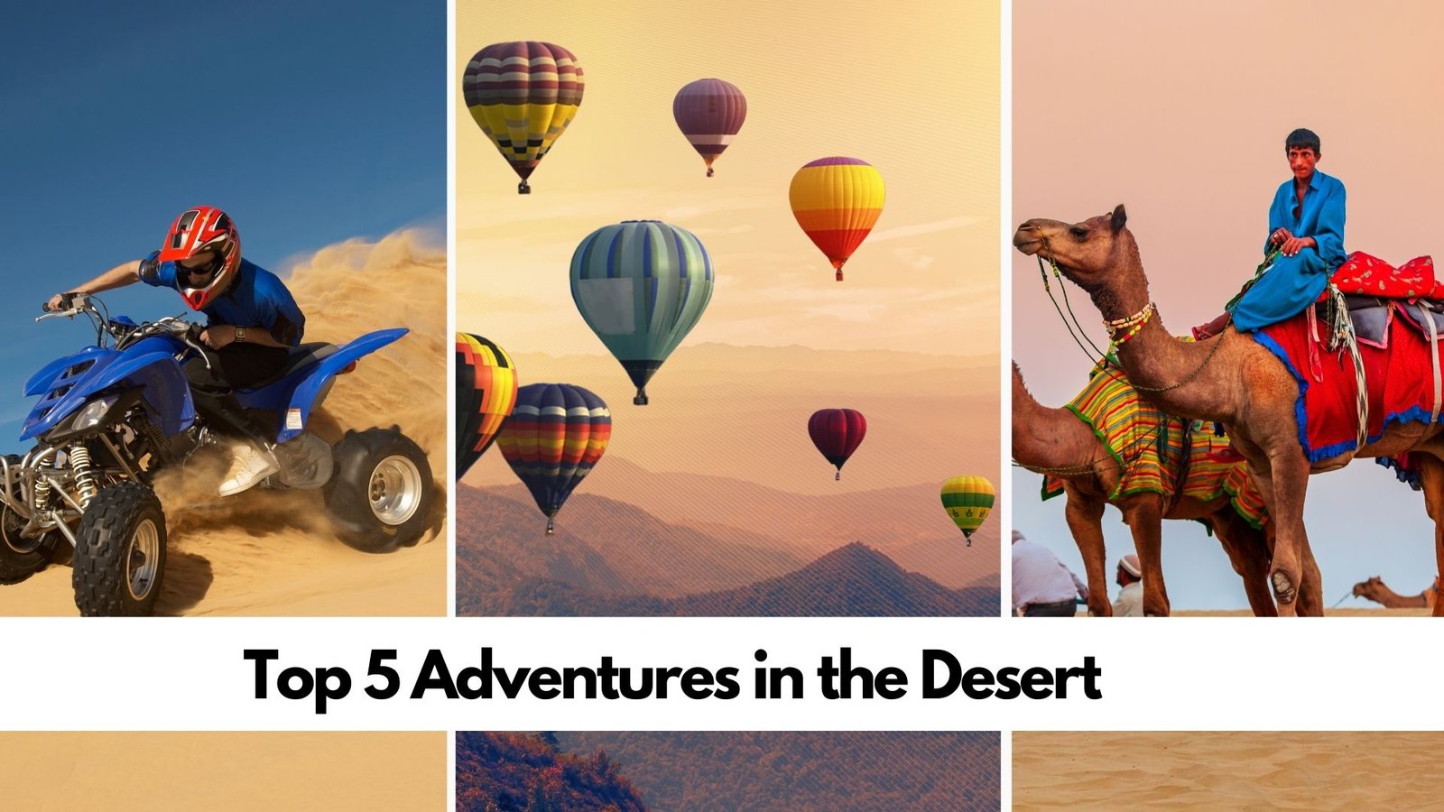 Top 5 Adventures in the Desert