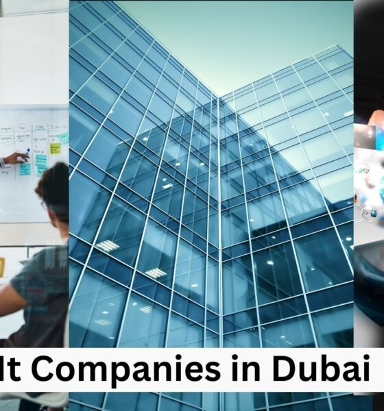 It Companies in Dubai