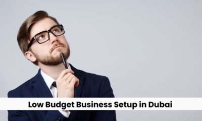 Low Budget Business Setup in Dubai