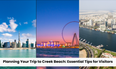 Planning Your Trip to Creek Beach: Essential Tips for Visitors