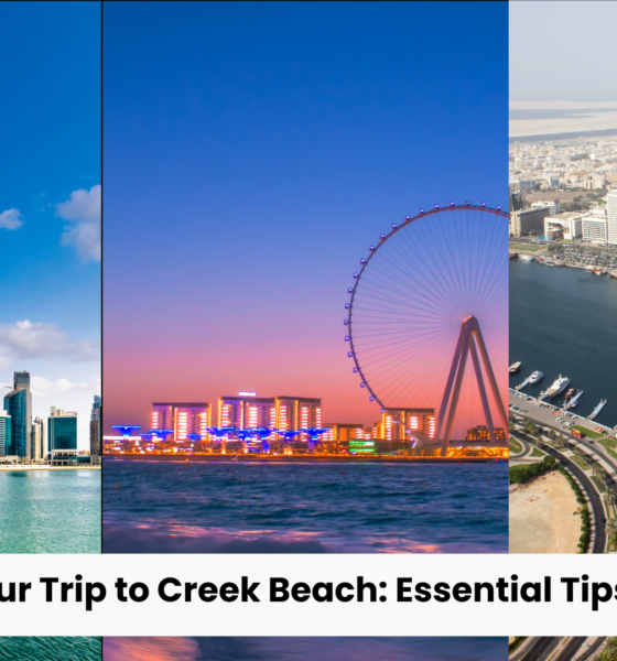 Planning Your Trip to Creek Beach: Essential Tips for Visitors