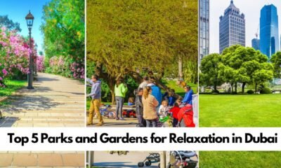 Top 5 Parks and Gardens for Relaxation in Dubai