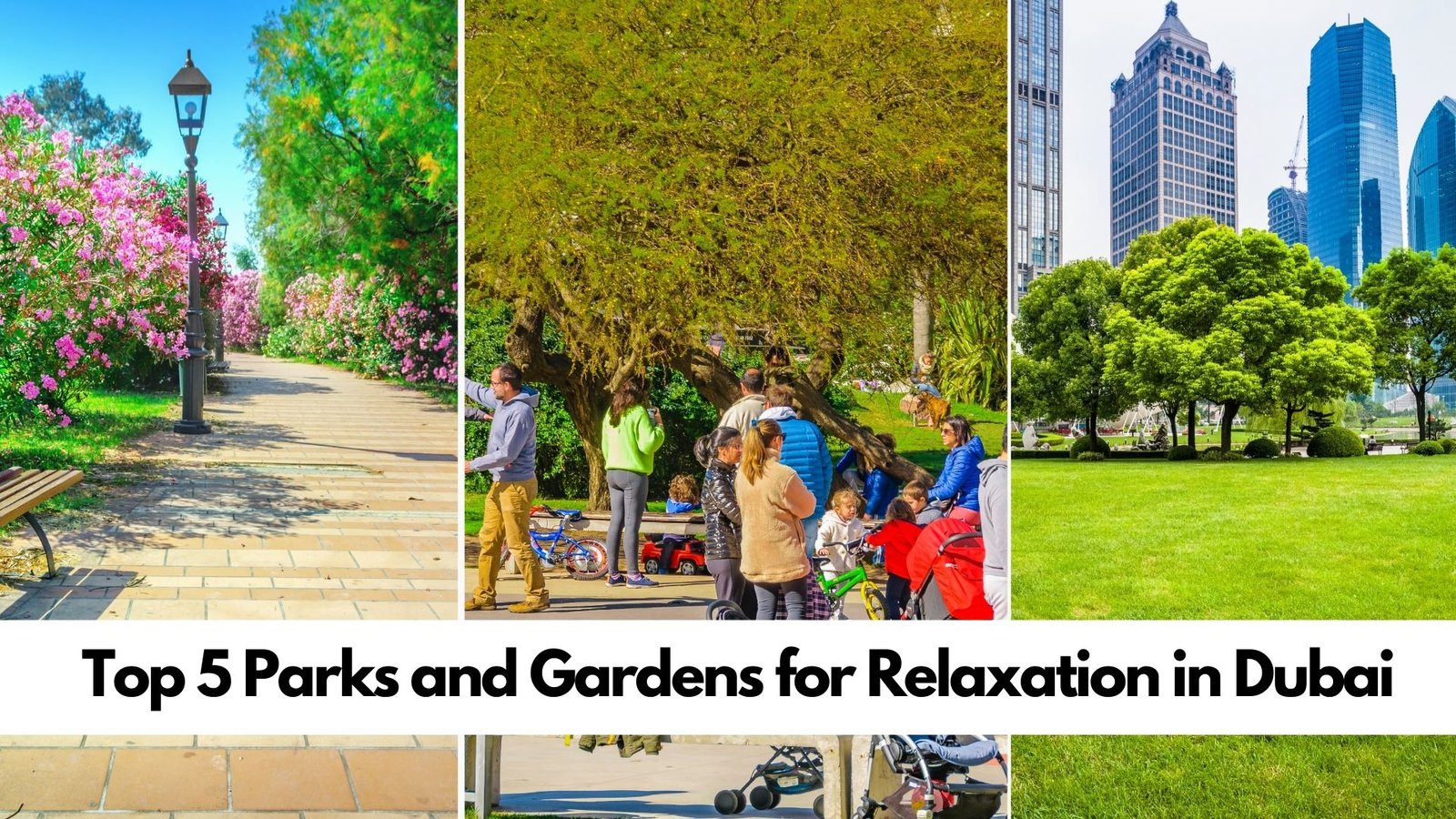 Top 5 Parks and Gardens for Relaxation in Dubai