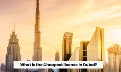 what is the Cheapest license in Dubai