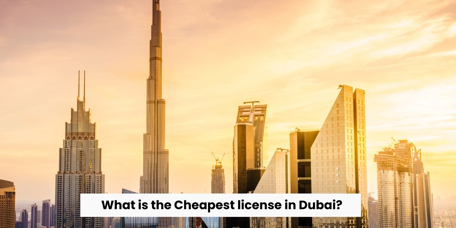 what is the Cheapest license in Dubai