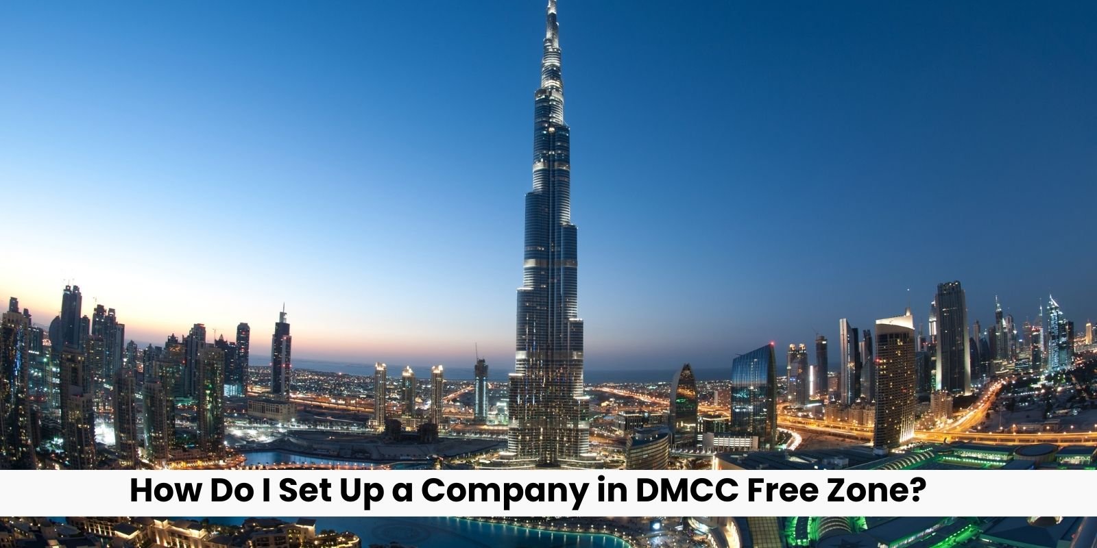 How Do I Set Up a Company in DMCC Free Zone?