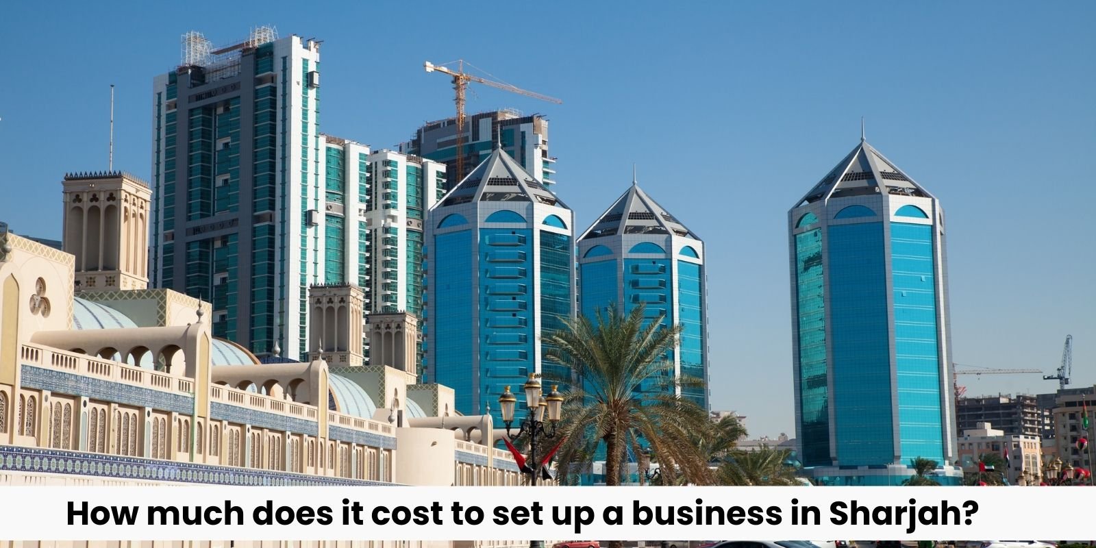 set up a business in Sharjah