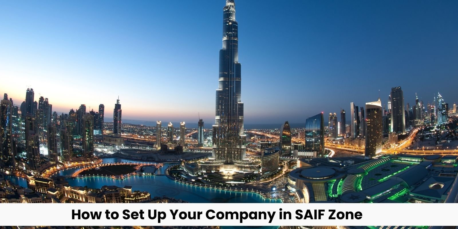 How to Set Up Your Company in SAIF Zone and