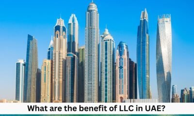 benefit of LLC in UAE