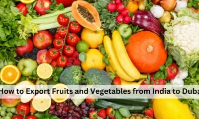 How to Export Fruits and Vegetables from India to Dubai