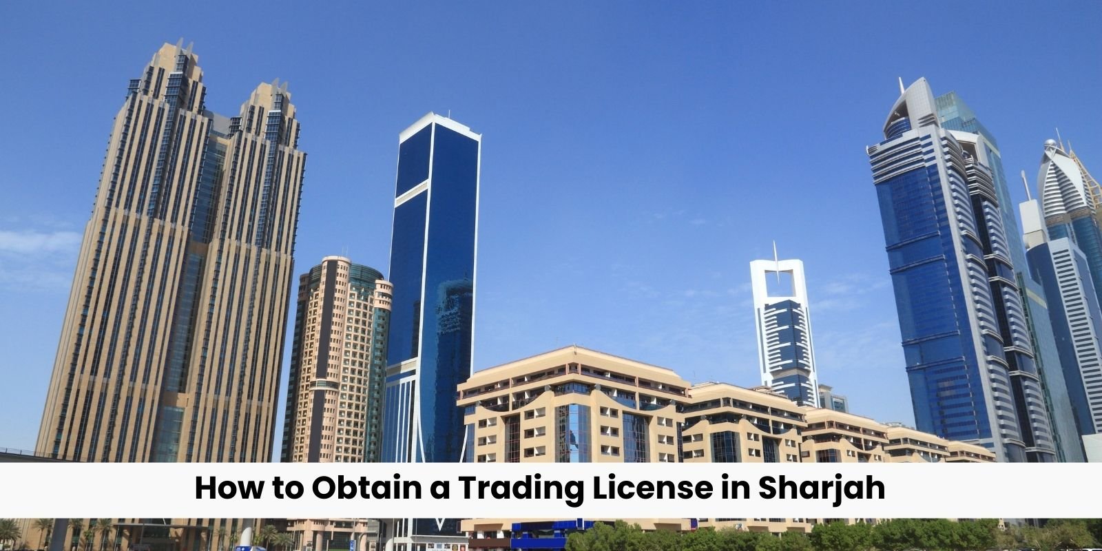 How to Obtain a Trading License in Sharjah