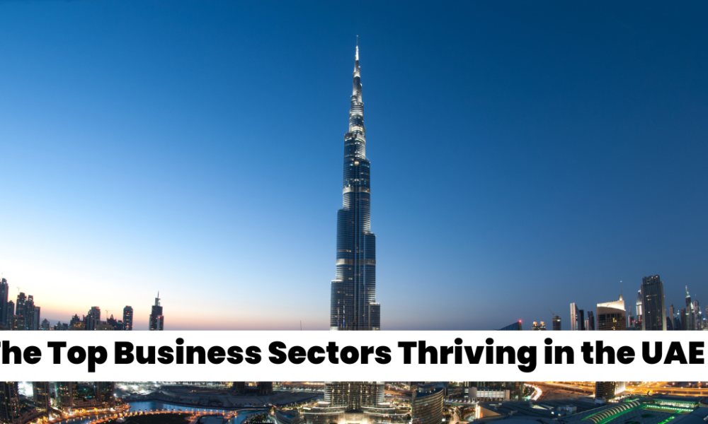 The United Arab Emirates (UAE) has emerged as a global hub for business and investment, attracting entrepreneurs and corporations from around the world. With its strategic location, world-class infrastructure, and business-friendly environment, the UAE offers a wealth of opportunities across various sectors. In this article, we will explore the top business sectors thriving in the UAE, examine the factors driving their growth, and provide insights into the challenges and trade-offs involved in tapping into these lucrative markets. 1. Real Estate and Construction: Building the Future Commercial Real Estate in the UAE The real estate and construction sector has long been a cornerstone of the UAE’s economy, with cities like Dubai and Abu Dhabi showcasing some of the most iconic architectural feats in the world. Commercial real estate in the UAE continues to thrive due to several key factors: High Demand for Office Space: With a growing number of international companies setting up regional headquarters in the UAE, there is a continuous demand for high-quality office space. Tourism and Hospitality Growth: The UAE’s thriving tourism industry, driven by world-class attractions and events, fuels the demand for luxury hotels and resorts, further boosting the construction sector. Government Initiatives: Government-backed projects like the Dubai 2040 Urban Master Plan aim to enhance infrastructure and create sustainable urban environments, presenting opportunities for investors. Challenges and Trade-offs While the sector offers significant opportunities, it is not without challenges. High competition, regulatory changes, and fluctuating property prices are some of the factors that investors must navigate. Additionally, balancing sustainability with profitability in construction projects is increasingly becoming a critical consideration. 2. Technology and Innovation: The Digital Frontier UAE Business Opportunities 2024 in Technology The UAE has positioned itself as a leader in technology and innovation, making it one of the most profitable industries in the region. The country’s commitment to becoming a global tech hub is evident in its investment in smart cities, AI, blockchain, and fintech. Smart City Initiatives: Dubai’s Smart City project aims to make the city one of the smartest in the world by leveraging IoT, AI, and big data to enhance urban living. AI and Blockchain Adoption: The UAE government’s proactive approach to adopting emerging technologies like AI and blockchain is creating a fertile ground for tech startups and established companies. Fintech Revolution: With Dubai International Financial Centre (DIFC) leading the way, the UAE is becoming a major player in the fintech space, attracting global fintech firms. Challenges and Trade-offs Investing in the technology sector in the UAE comes with its own set of challenges. The fast pace of technological change requires continuous innovation and adaptation. Additionally, regulatory hurdles and the need for highly skilled talent are key factors that businesses must consider. 3. Tourism and Hospitality: A Global Destination Profitable Industries in UAE Tourism Tourism and hospitality are among the most vibrant sectors in the UAE, contributing significantly to the country’s GDP. The UAE’s strategic location, diverse cultural heritage, and luxury offerings make it a top destination for tourists from around the world. Luxury and Leisure: The UAE is synonymous with luxury, offering world-class hotels, resorts, and shopping experiences that attract high-net-worth individuals. Cultural and Event Tourism: Events like Expo 2020 Dubai and the annual Dubai Shopping Festival draw millions of visitors, boosting the hospitality industry. Medical Tourism: The UAE is also emerging as a hub for medical tourism, offering state-of-the-art healthcare facilities and treatments at competitive prices. Challenges and Trade-offs While the tourism and hospitality sector is lucrative, it is also highly competitive. Businesses must continually innovate to stand out, and the seasonal nature of tourism can lead to fluctuating revenues. Additionally, the sector’s dependence on international travel makes it vulnerable to global events, such as pandemics or geopolitical tensions. 4. Healthcare: A Growing Necessity Invest in UAE Business Sectors - Healthcare Healthcare is one of the fastest-growing sectors in the UAE, driven by a rising population, increasing health awareness, and government initiatives to improve healthcare standards. Government Support: The UAE government’s commitment to enhancing healthcare infrastructure and services is evident in its Vision 2021 and Vision 2030 strategies, which aim to provide world-class healthcare to all residents. Private Sector Participation: The privatization of healthcare services and the encouragement of foreign investment have opened up new opportunities in the sector. Medical Research and Innovation: The UAE is investing heavily in medical research, biotechnology, and telemedicine, positioning itself as a regional leader in healthcare innovation. Challenges and Trade-offs The healthcare sector in the UAE faces challenges such as high operational costs, the need for continuous upgrading of facilities and services, and the requirement for highly specialized medical professionals. Balancing affordability with quality of care is a critical trade-off that healthcare providers must manage. 5. Finance and Banking: A Regional Powerhouse UAE Market Entry Strategy for Financial Services The finance and banking sector in the UAE is a regional powerhouse, with Dubai and Abu Dhabi serving as major financial hubs. The sector’s growth is fueled by a robust regulatory framework, a stable economy, and a strategic location that connects East and West. Islamic Finance: The UAE is a global leader in Islamic finance, offering a range of Sharia-compliant financial products and services. Investment Banking: The UAE’s investment banking sector is thriving, with a focus on mergers and acquisitions, private equity, and venture capital. Fintech Integration: The integration of fintech solutions is revolutionizing the financial sector, offering new opportunities for innovation and growth. Challenges and Trade-offs The financial sector is highly competitive and regulated, requiring businesses to navigate complex compliance requirements. Additionally, the integration of new technologies such as blockchain and AI presents both opportunities and challenges, particularly in terms of cybersecurity and data privacy. 6. Retail and E-Commerce: The Digital Marketplace Top Investment Sectors in UAE Retail Retail and e-commerce are thriving in the UAE, driven by a tech-savvy population and a high level of disposable income. The shift towards online shopping has accelerated in recent years, presenting new opportunities for businesses. Luxury Retail: The UAE is a global hub for luxury retail, with brands from around the world vying for a share of the market. E-Commerce Boom: The e-commerce sector in the UAE is growing rapidly, with platforms like Noon and Amazon leading the way. Omnichannel Strategies: Retailers are increasingly adopting omnichannel strategies to provide a seamless shopping experience across online and offline platforms. Challenges and Trade-offs The retail and e-commerce sector is highly competitive, with businesses facing challenges such as high operating costs, supply chain management issues, and the need to constantly innovate to meet changing consumer preferences. Additionally, the shift towards online shopping presents challenges in terms of logistics and delivery. 7. Energy and Renewable Resources: Powering the Future Start a Business in UAE Energy Sector The UAE is known for its vast oil and gas reserves, but it is also making significant strides in renewable energy. The country’s energy sector is a key driver of its economy, and there are numerous opportunities for investment and growth. Oil and Gas: The UAE remains one of the world’s leading producers of oil and gas, with significant investment in upstream and downstream activities. Renewable Energy: The UAE is investing heavily in renewable energy, with projects like the Mohammed bin Rashid Al Maktoum Solar Park and the Barakah Nuclear Energy Plant leading the way. Energy Efficiency: The UAE government is promoting energy efficiency and sustainability through initiatives like the UAE Energy Strategy 2050. Challenges and Trade-offs The energy sector is capital-intensive and subject to fluctuations in global energy prices. Additionally, the transition to renewable energy presents challenges in terms of technology, infrastructure, and regulatory frameworks. Balancing the development of traditional energy sources with the push for sustainability is a key trade-off in this sector. 8. Logistics and Transportation: Connecting the World UAE Industry Analysis for Investors - Logistics The UAE’s strategic location at the crossroads of Europe, Asia, and Africa makes it a global logistics and transportation hub. The sector is supported by world-class infrastructure, including ports, airports, and free zones. Aviation and Airports: The UAE is home to some of the world’s busiest airports, such as Dubai International Airport, and airlines like Emirates play a crucial role in global connectivity. Shipping and Ports: The UAE’s ports, including Jebel Ali Port, are among the busiest in the world, handling a significant portion of global trade. Free Zones: The UAE’s numerous free zones offer attractive incentives for businesses, including 100% foreign ownership, tax exemptions, and streamlined customs procedures. The United Arab Emirates (UAE) continues to be a global hub for diverse business sectors, offering unparalleled opportunities for growth and investment. From real estate and construction to technology and innovation, healthcare, finance, retail, energy, and logistics, the UAE presents a dynamic landscape for businesses seeking to expand or establish their presence in the region. However, each sector comes with its own set of challenges and trade-offs, requiring strategic planning, innovation, and adaptability to thrive in a competitive environment. For entrepreneurs and investors looking to navigate these opportunities, understanding the unique dynamics of each sector is crucial. Whether it's capitalizing on the UAE's smart city initiatives, tapping into the thriving tourism and hospitality market, or investing in the burgeoning fintech and e-commerce sectors, success in the UAE requires a deep understanding of both the opportunities and the complexities involved. If you are considering setting up a business in the UAE and need professional guidance, GCS Group is here to help. As a leading business setup company in Dubai, GCS Group specializes in helping businesses navigate the UAE’s regulatory environment and achieve their goals. With expertise across various sectors, GCS Group offers comprehensive solutions tailored to your business needs. For more information on how GCS Group can assist with your business setup in the UAE, visit our website and take the first step towards your successful business journey in one of the world's most dynamic markets.